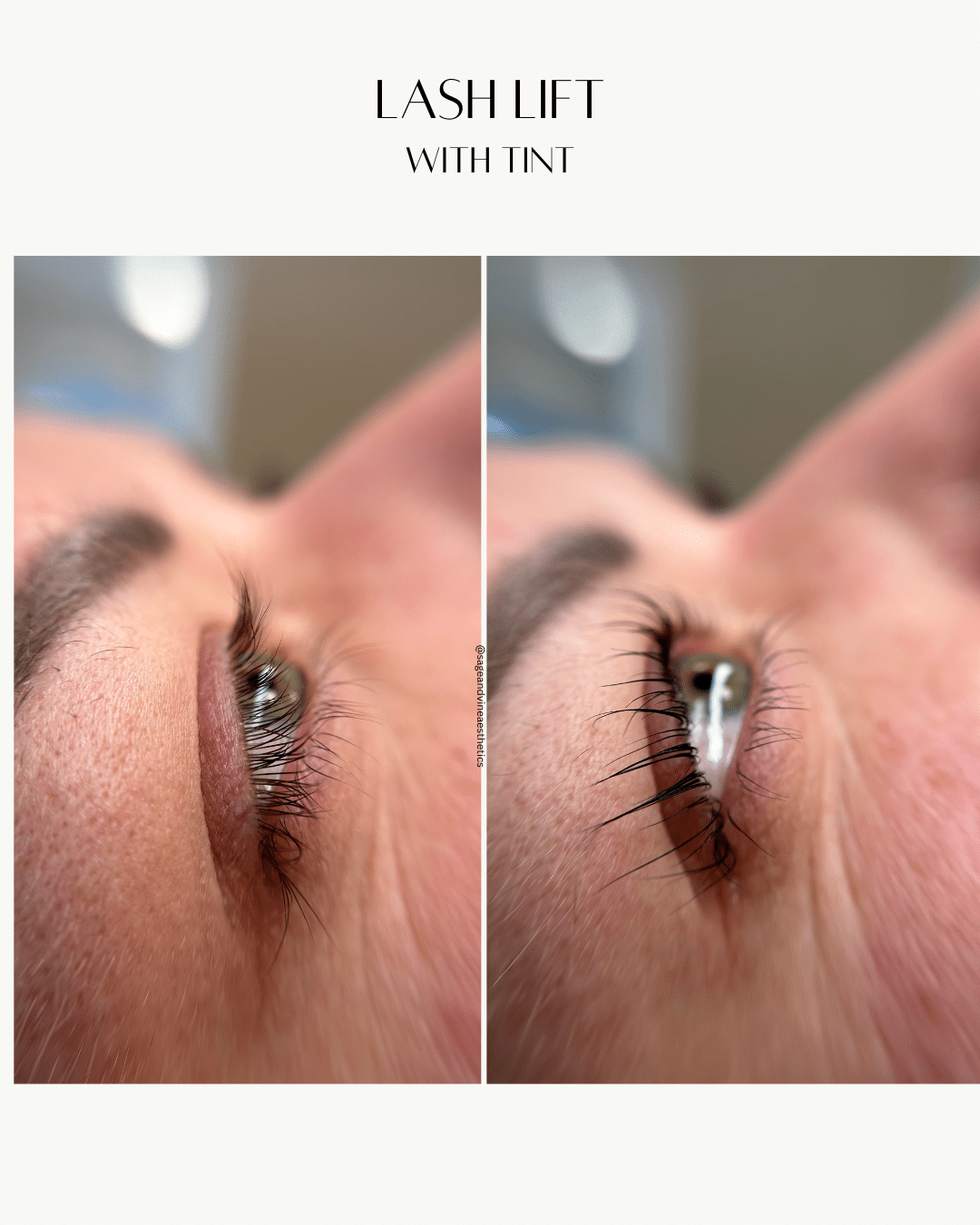 Before and After Image: Lash Lift and Tint - front