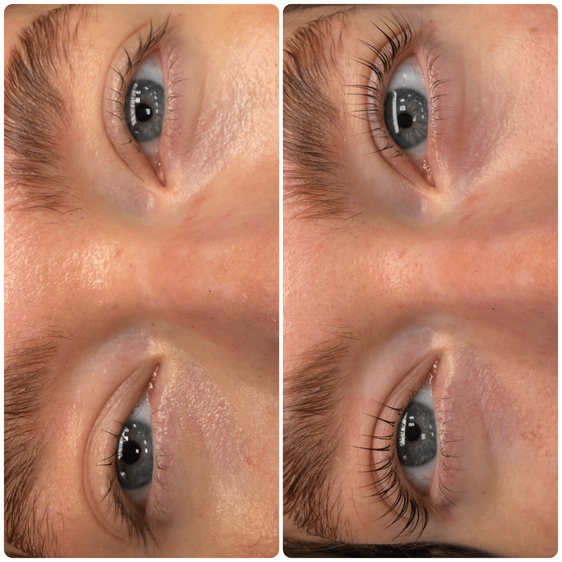 Before and After Image: Korean Lash Lift & Tint - front